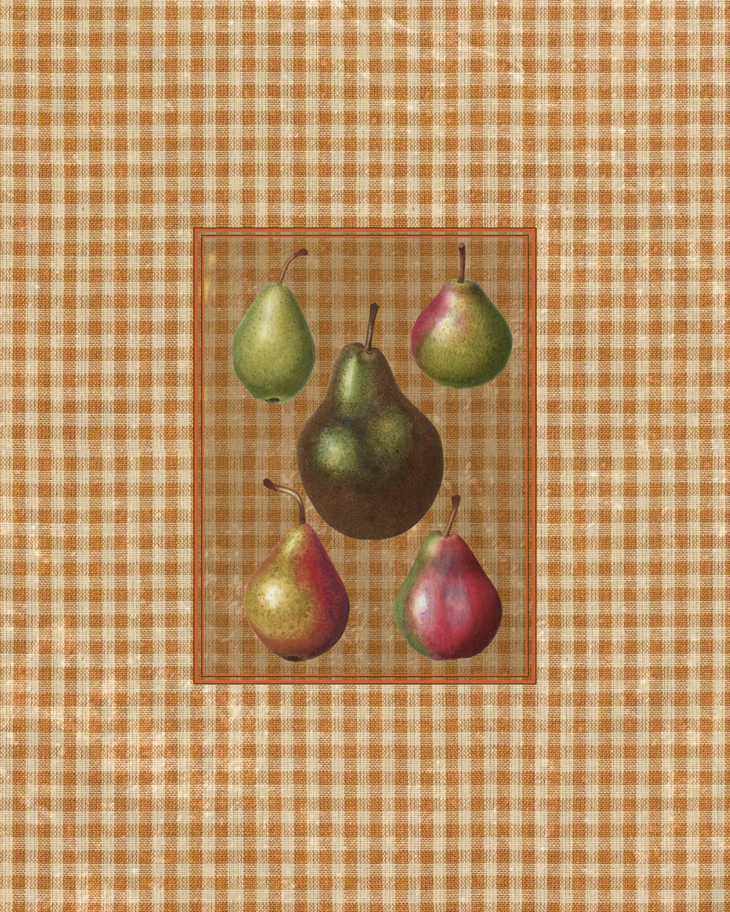 Antique Fruit 3 - Five Pear Parade