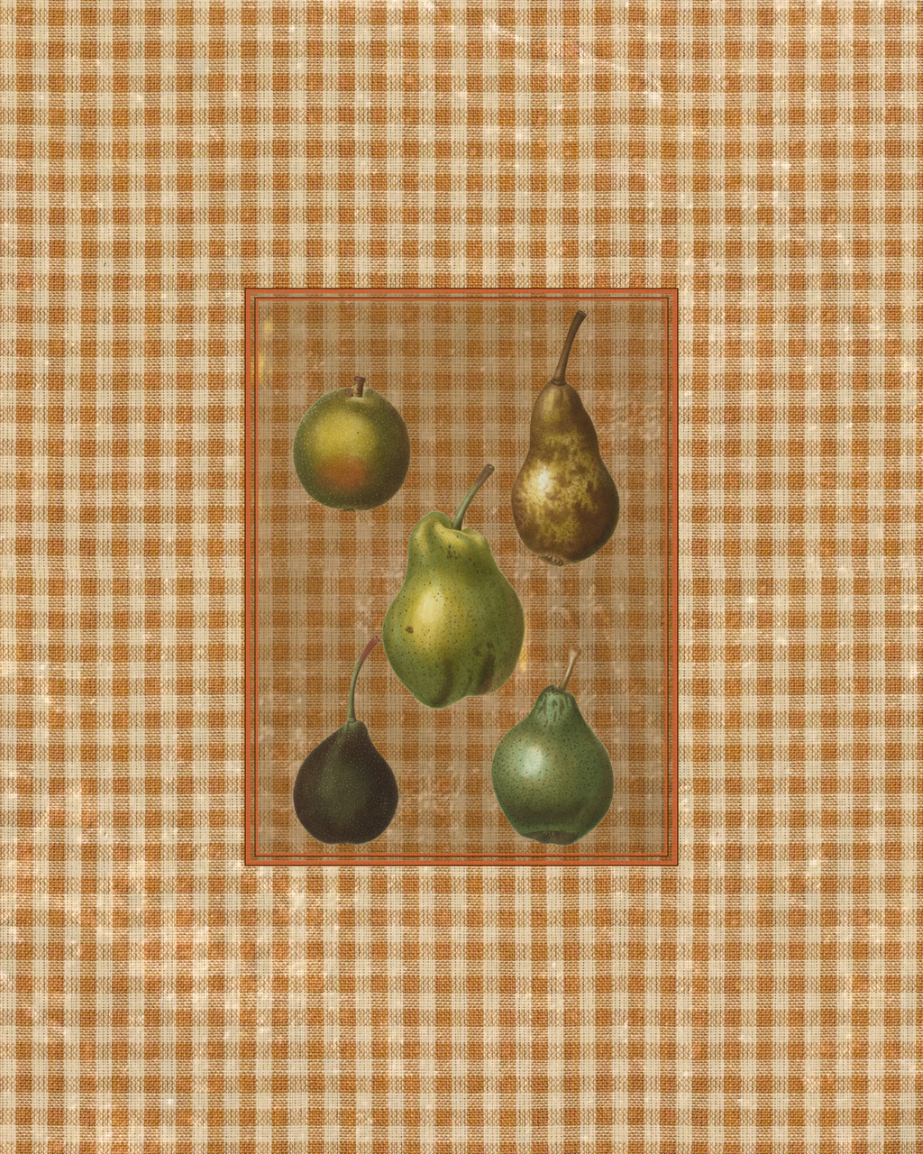 Antique Fruit 4 - Pears & Prejudice
