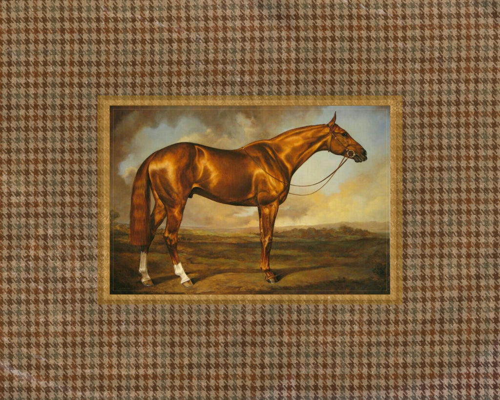 Autumn Horse