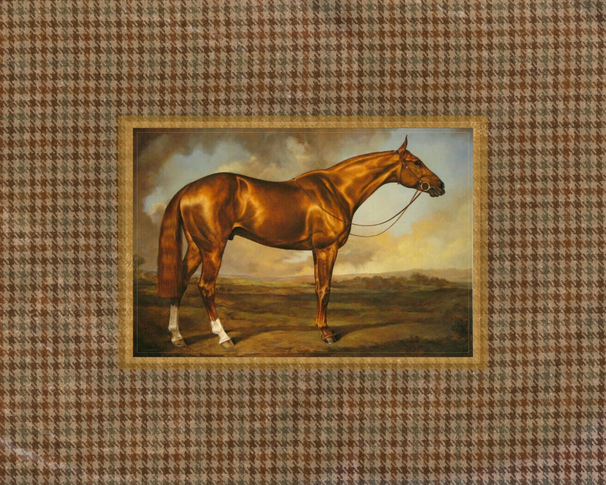 Autumn Horse
