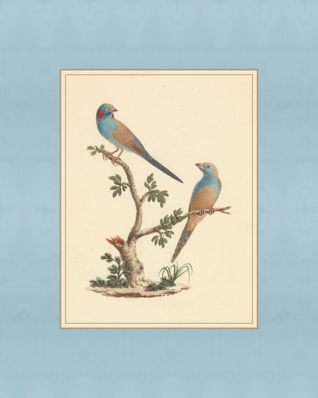 Vintage Blue Birds
