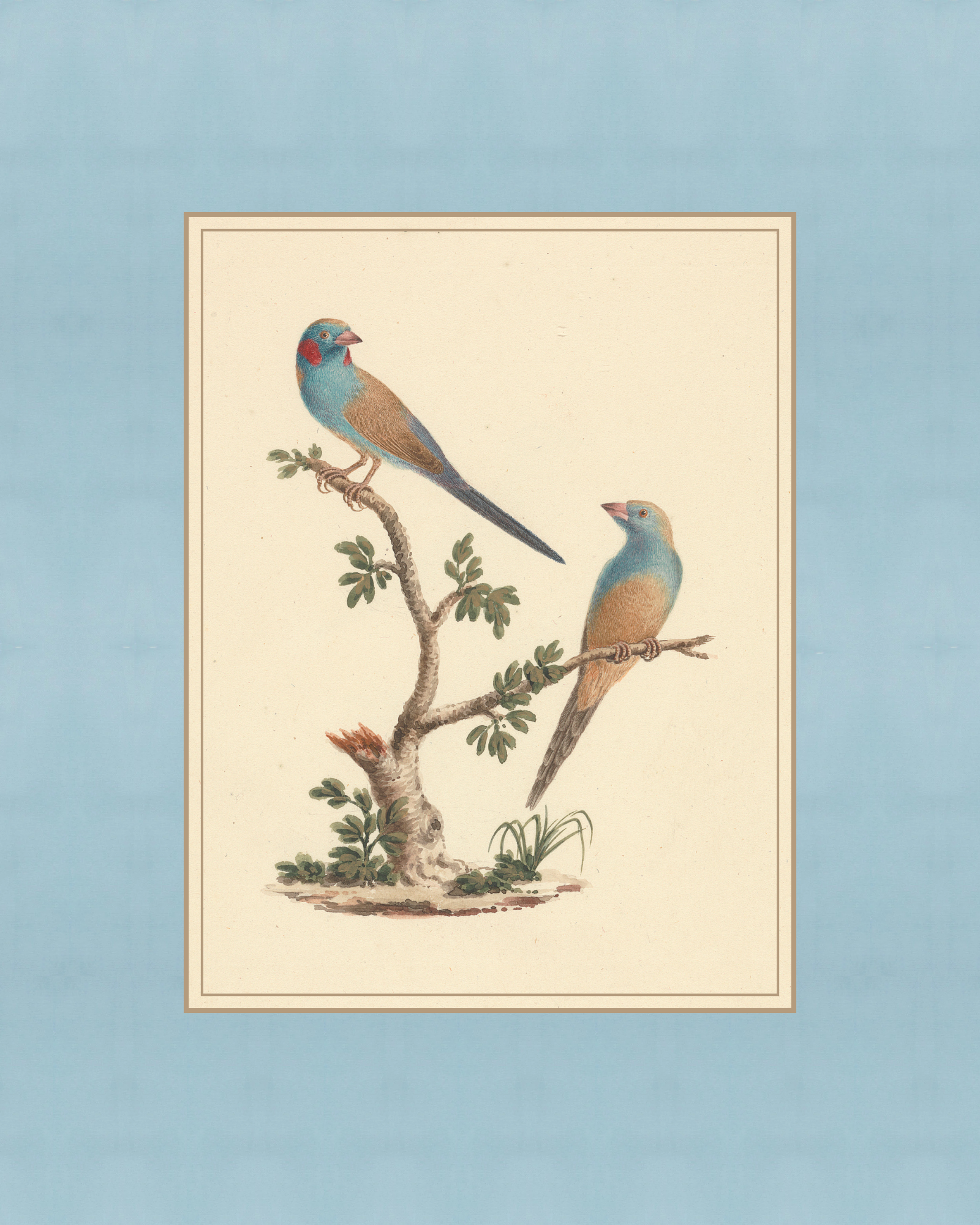 Vintage Blue Birds