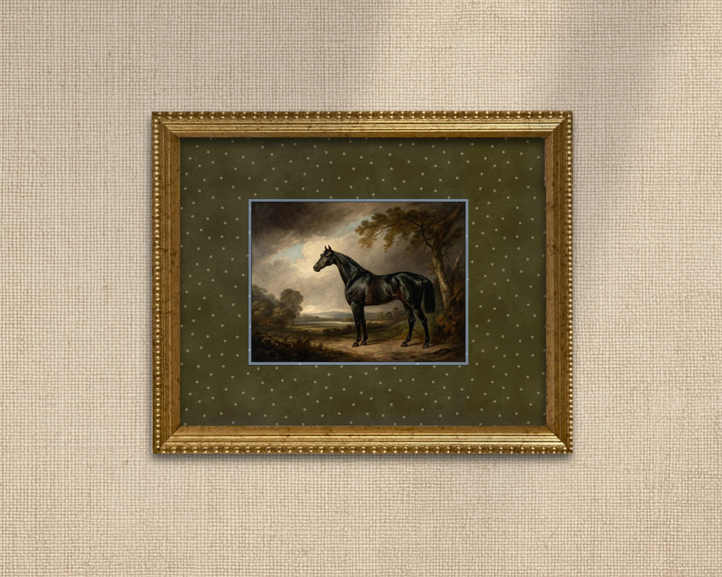 Noir Horse