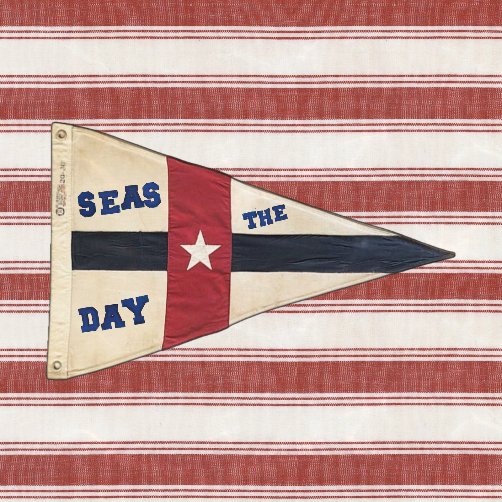 Seas the Day - Nautical Flag