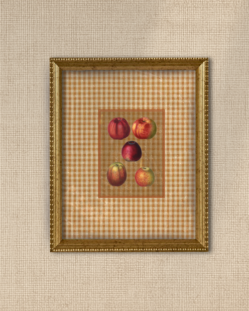 Antique Fruit 1 - Gala Gang