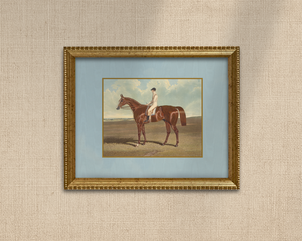 Pasture & Prestige - Horse Portrait