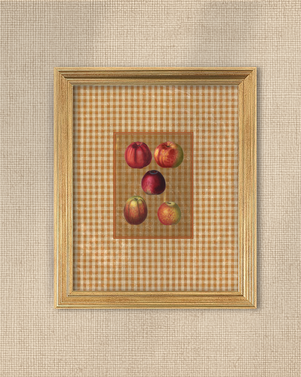 Antique Fruit 1 - Gala Gang