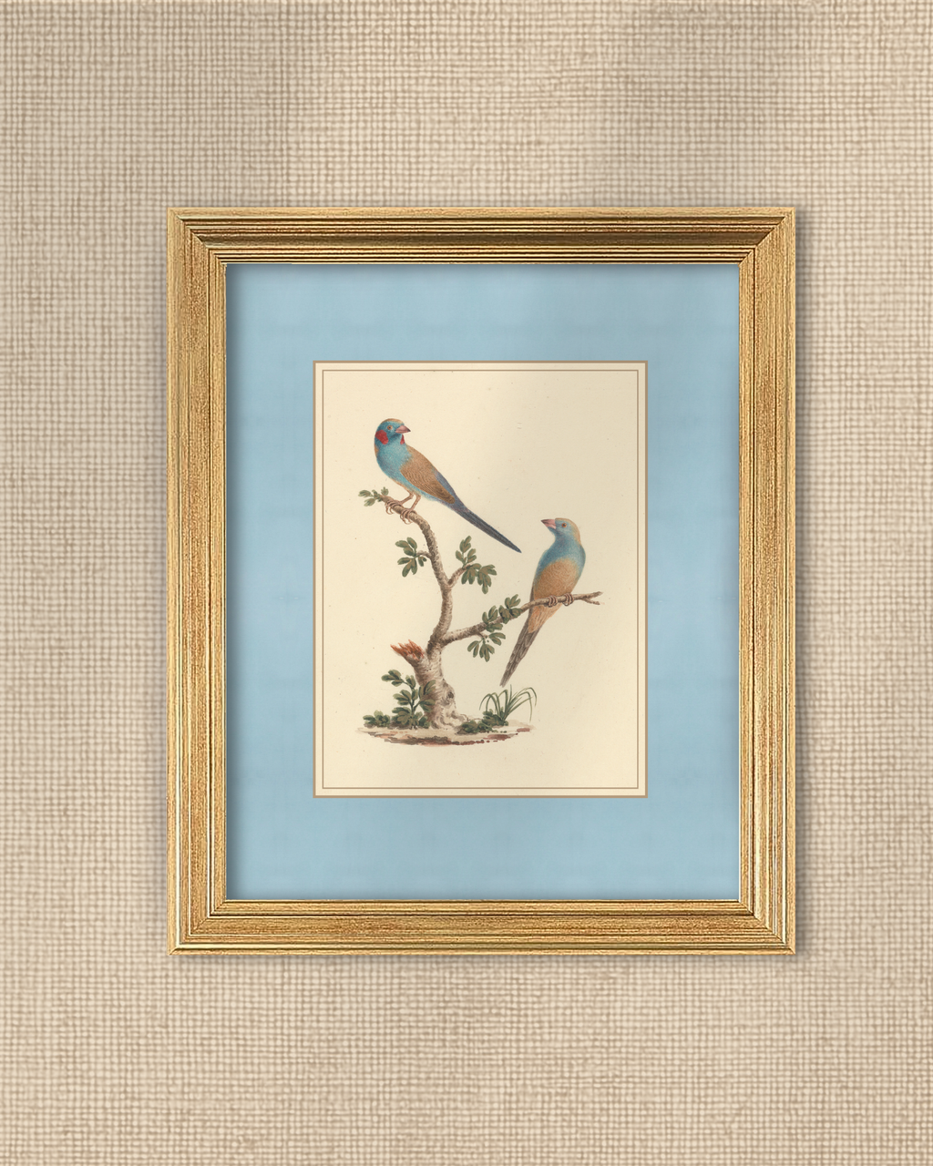 Vintage Blue Birds