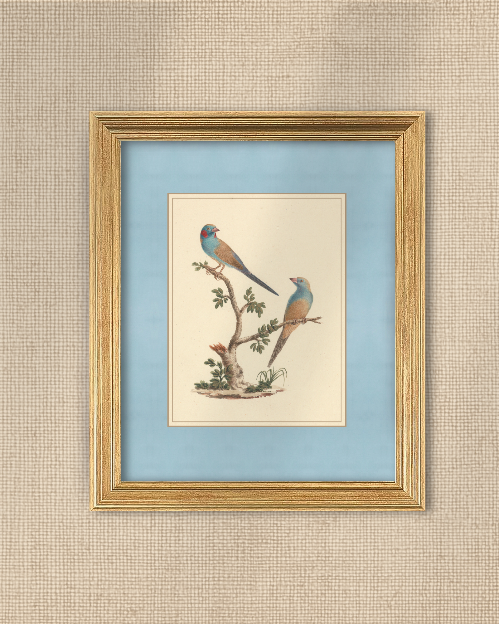 Vintage Blue Birds