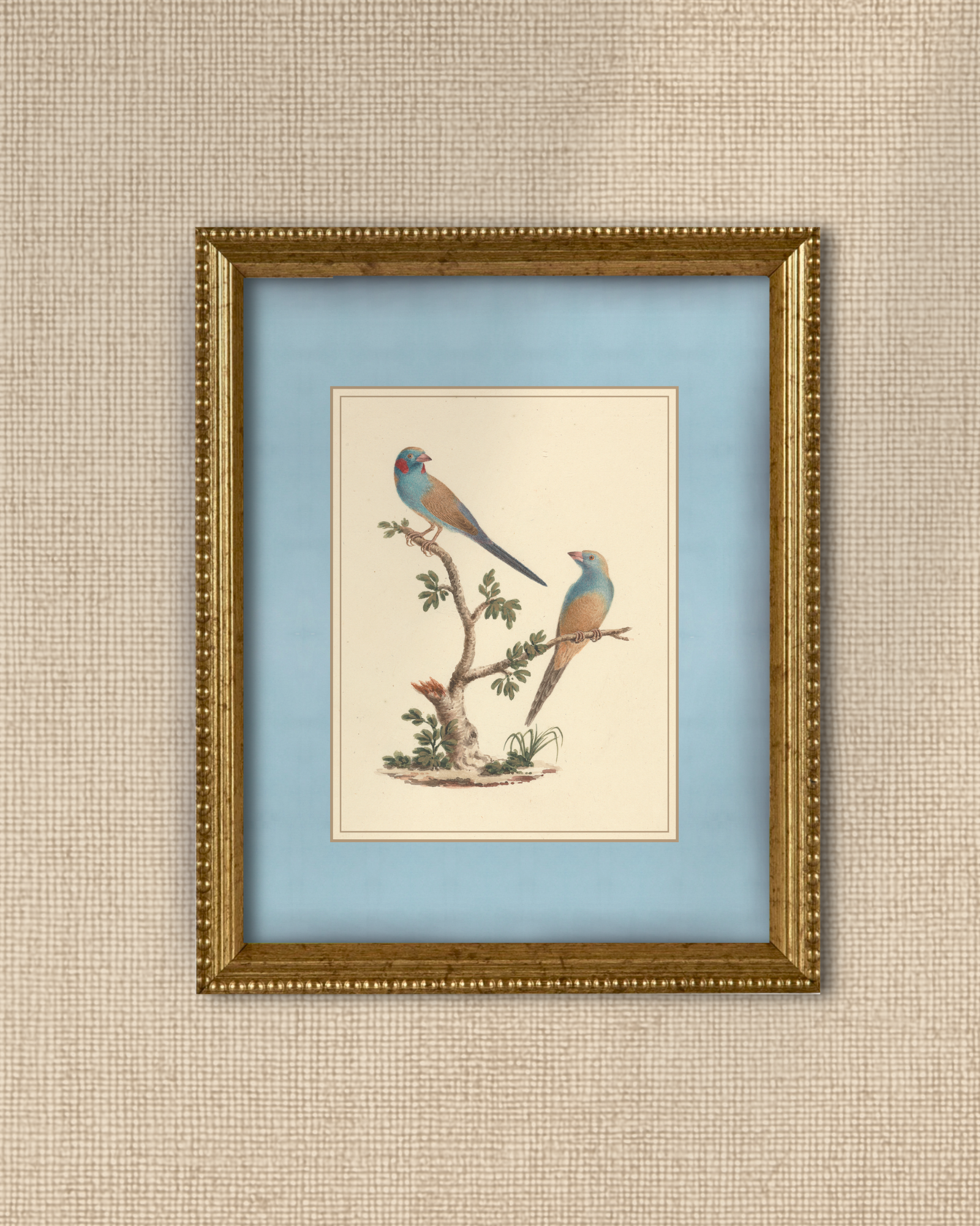 Vintage Blue Birds
