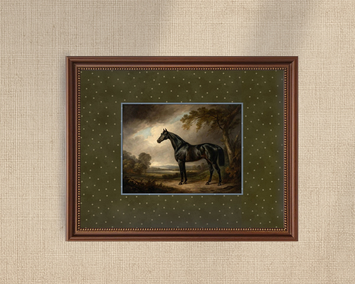 Noir Horse