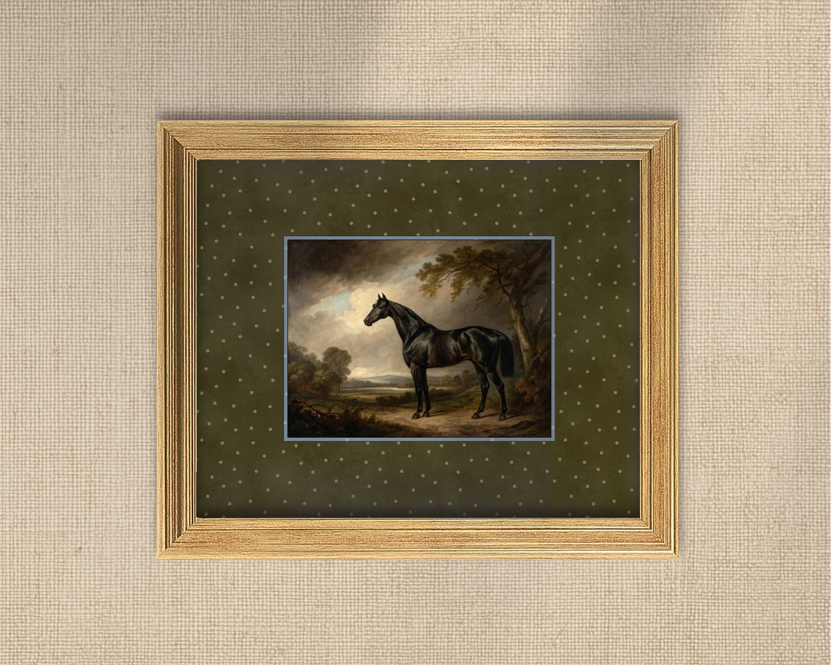 Noir Horse