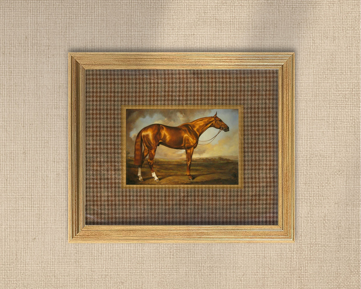 Autumn Horse
