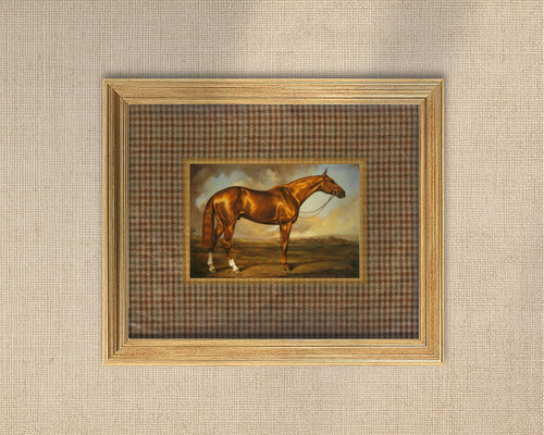 Autumn Horse