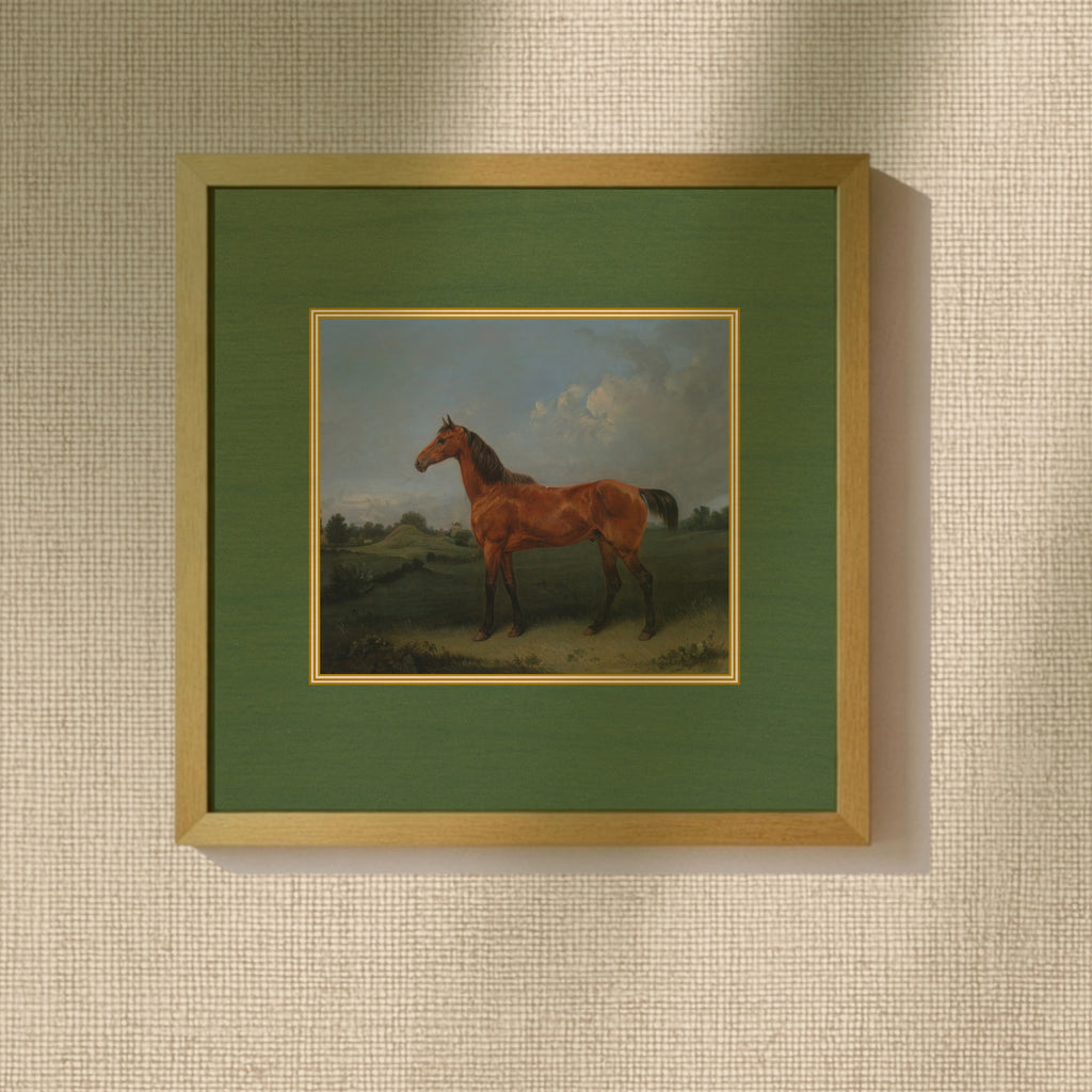 Equestrian Horse Portrait - Brown Horse