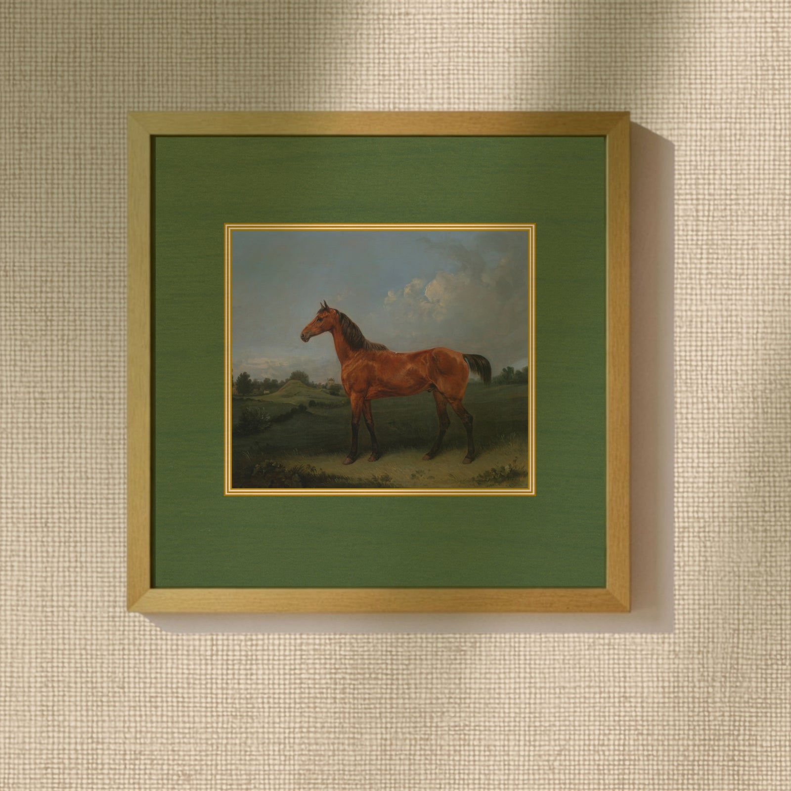 Equestrian Horse Portrait - Brown Horse