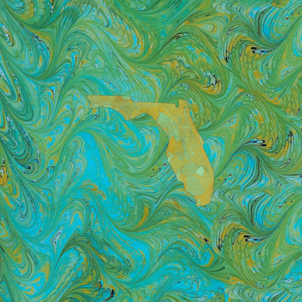 Marbled Vintage Map - Florida