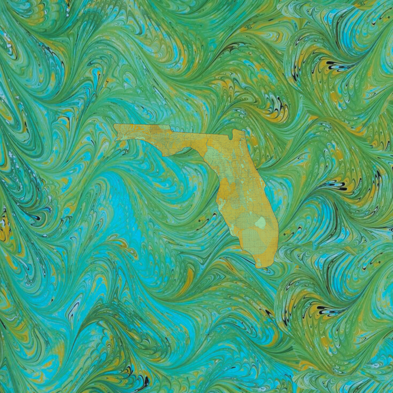 Marbled Vintage Map - Florida