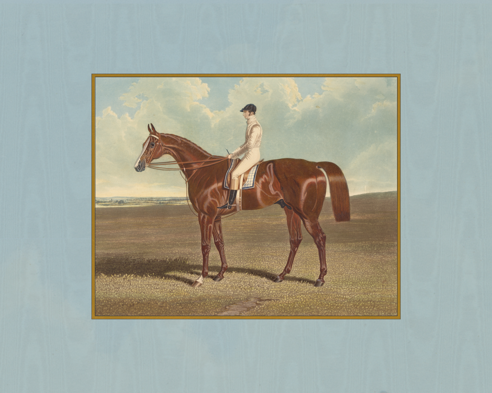Pasture & Prestige - Horse Portrait