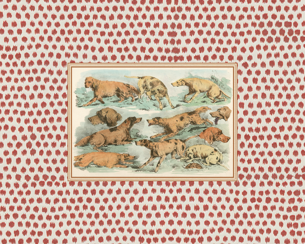 Sporting Sketch 8 - Dogs Living