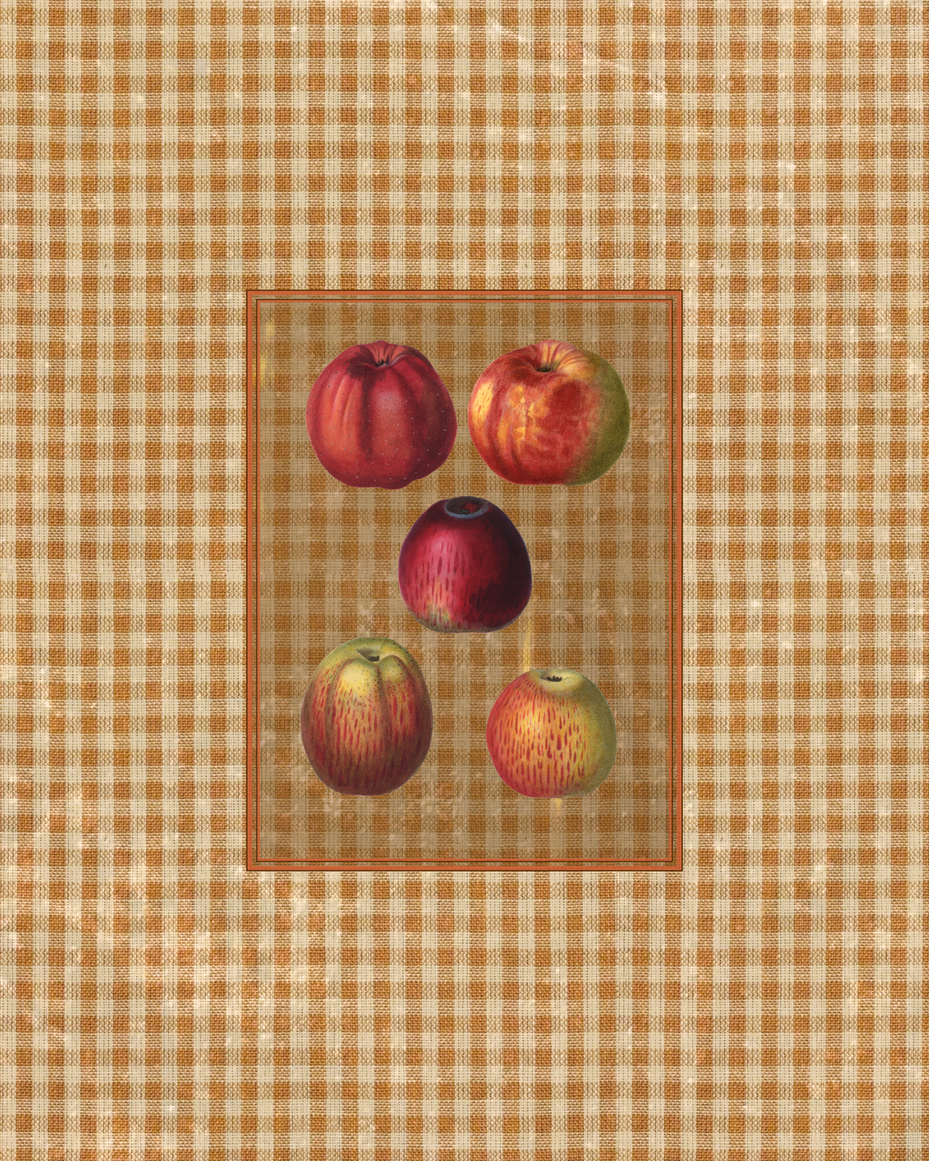 Antique Fruit 1 - Gala Gang
