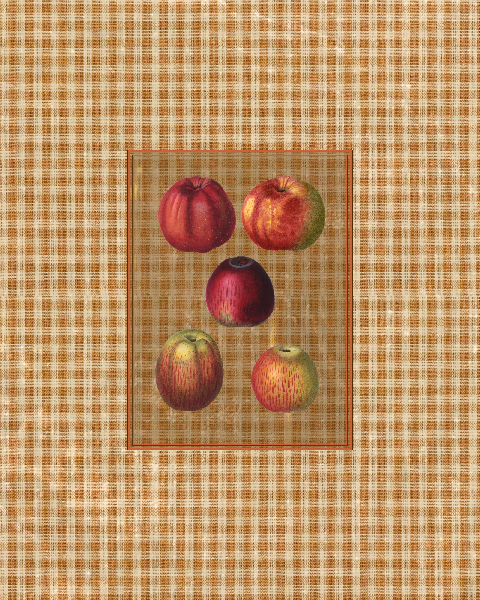 Antique Fruit 1 - Gala Gang
