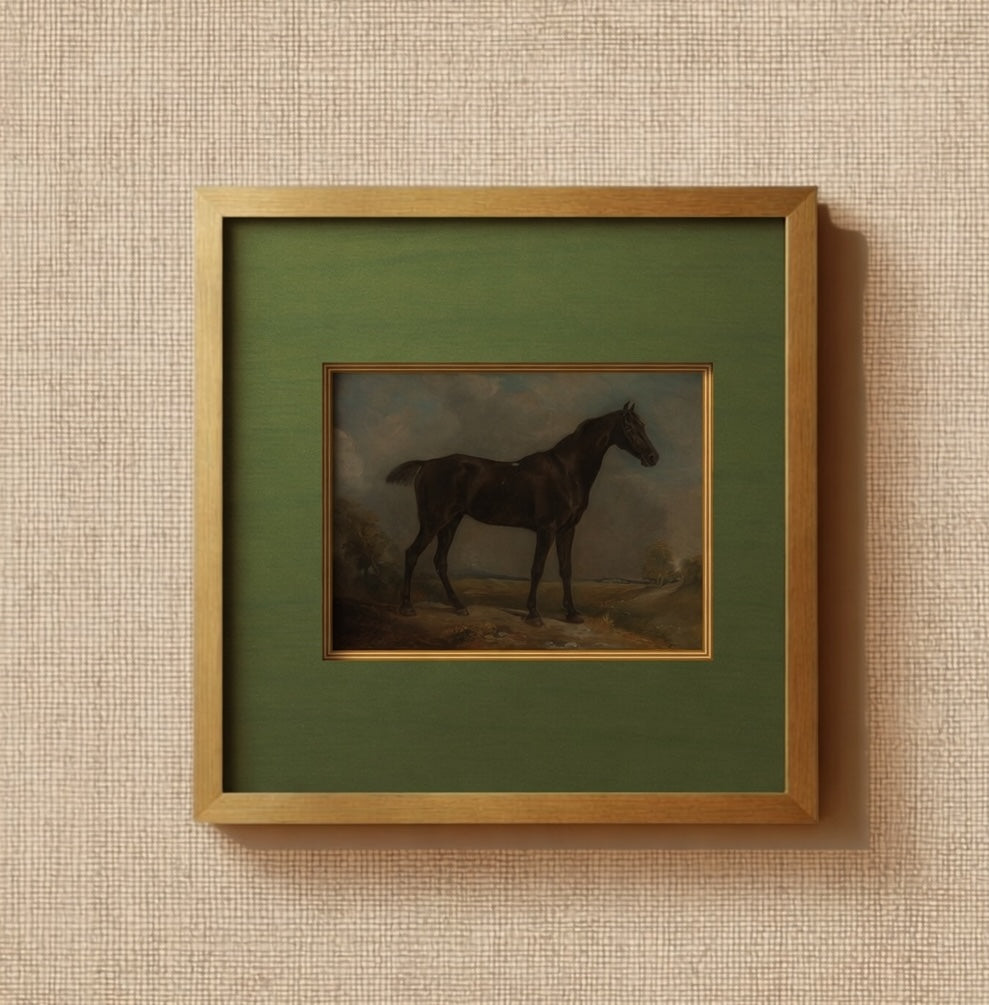 Equestrian Horse Portrait - Black Horse